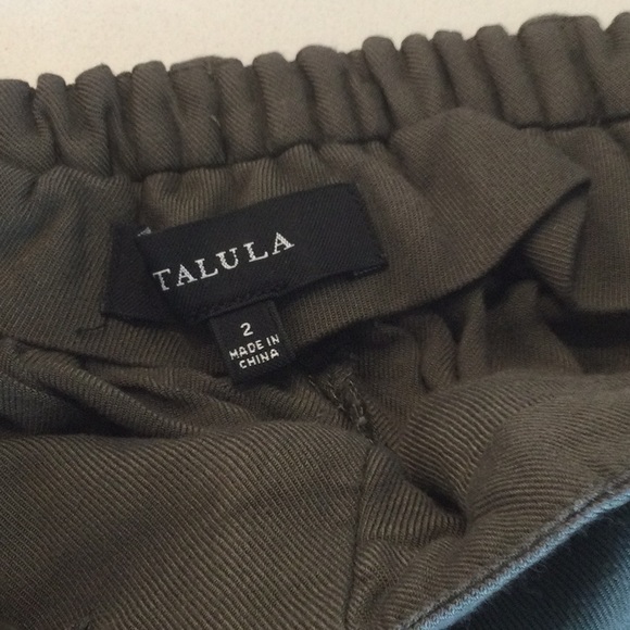 Aritzia Talula pleated shorts - Picture 4 of 5